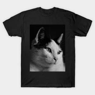 Portrait of a cat T-Shirt